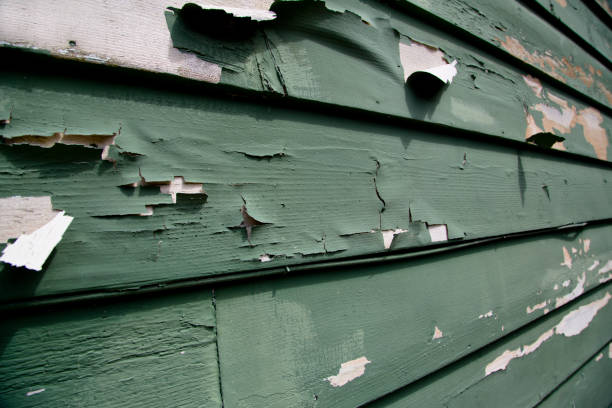 Professional Junk Removal in Breinigsville, PA