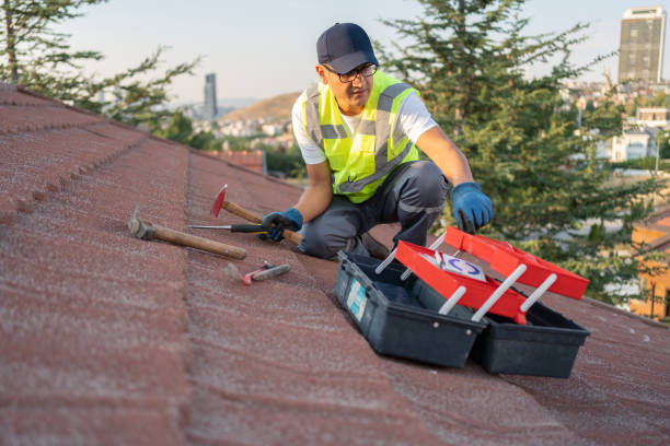 Best Carpet Removal and Disposal  in Breinigsville, PA